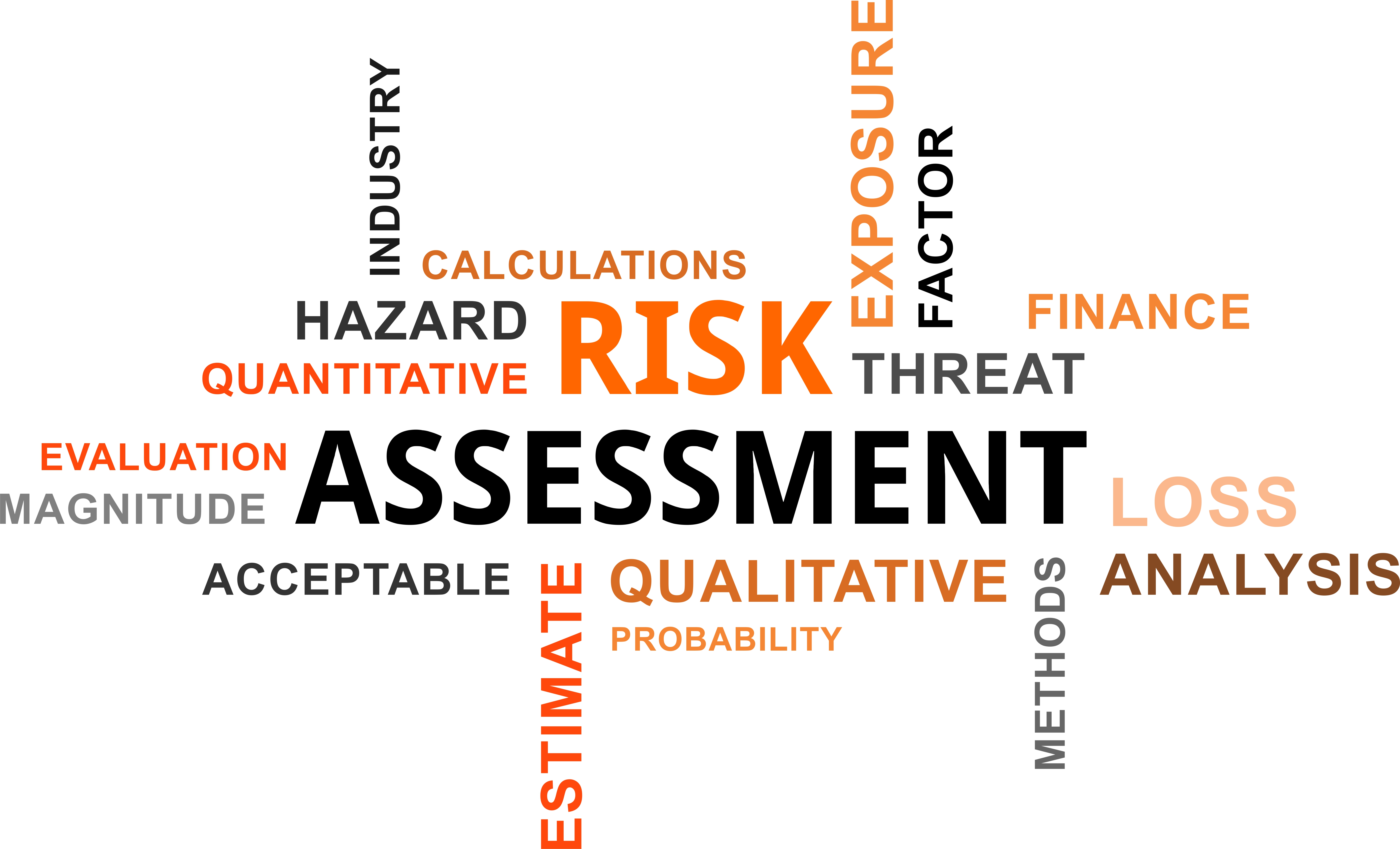 Cyber Risk Assessment word cloud